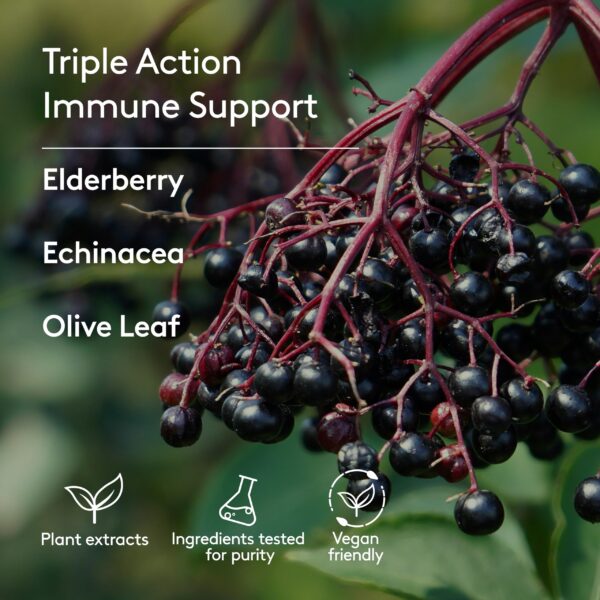 Empaque de Harker para niños