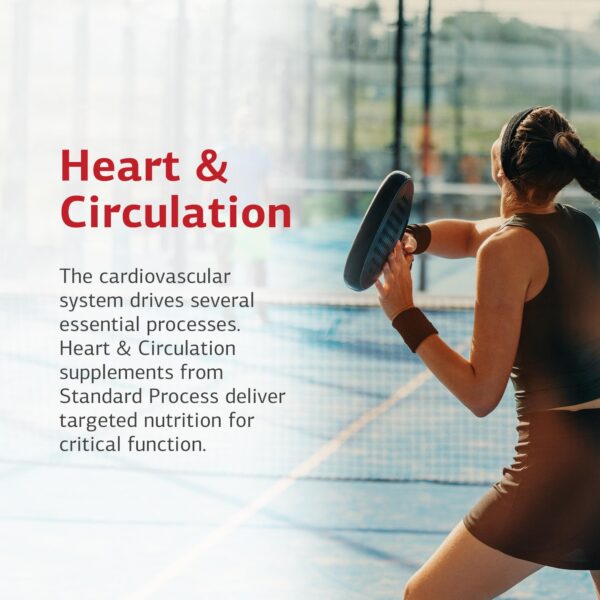 Version 1.0.0 Embalaje y logotipo Standard Process