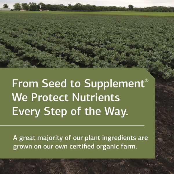 Empaque Standard Process Antronex 180 tabletas