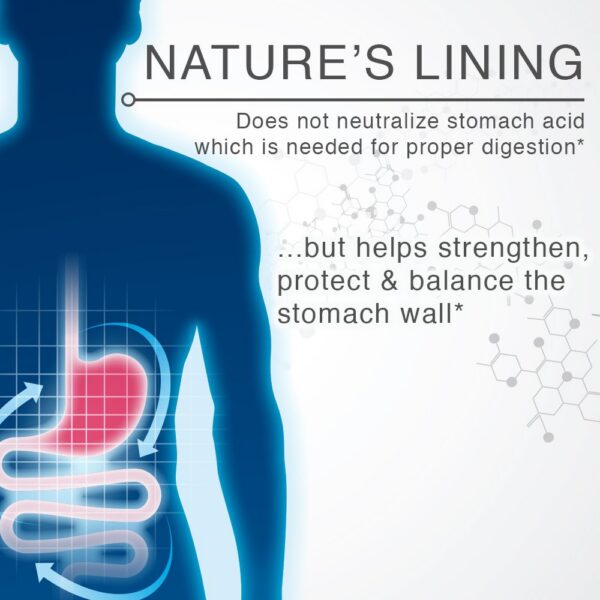 Version 1.0.0 Empaque tabletas masticables Nature's Lining 60 porciones