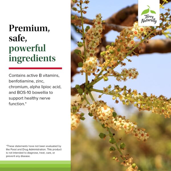 Suplemento con boswellia serrata para apoyo a los nervios Terry Naturally