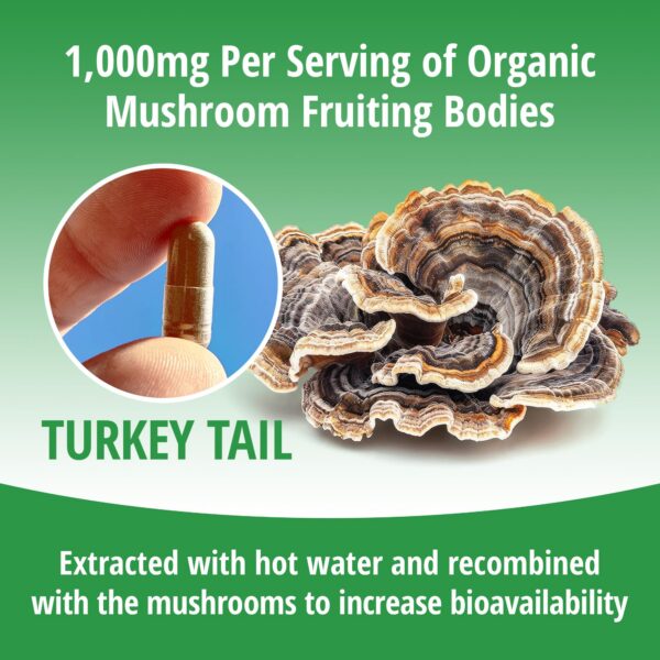 Toma diaria cápsulas ENCAPSULATE para salud inmunológica