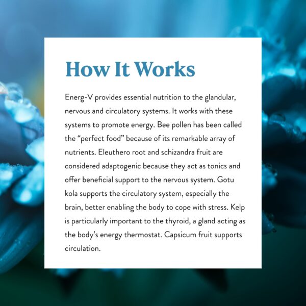 Texto de seguridad Energ-V