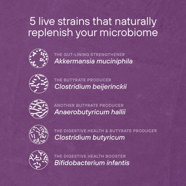 Version 1.0.0 Frasco y cápsulas Engtozl