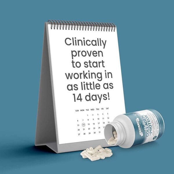 Version 1.0.0 Presentación del paquete y logotipo