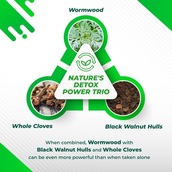 Version 1.0.0 Entidad certificación calidad suplemento NURAFUSE