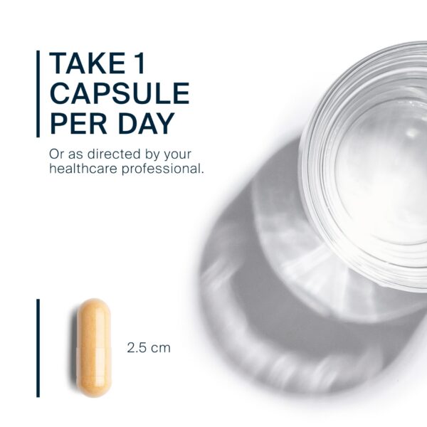 Version 1.0.0 Envase de 240 cápsulas en estante