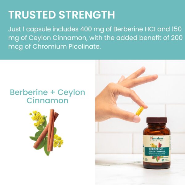 Envase con 60 cápsulas Suplemento Berberina