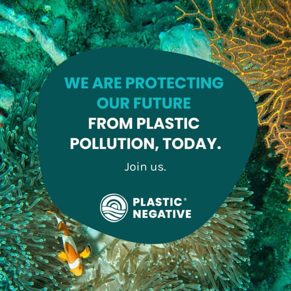 Envase y blister de hierro bisglicinato