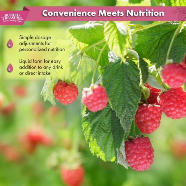 Envase Buried Treasure 32 oz