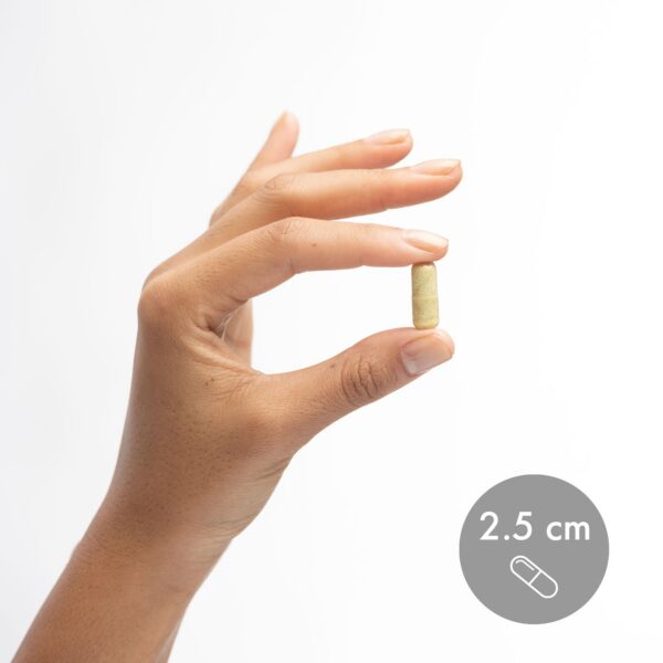 Version 1.0.0 Caja exterior y etiqueta de Dr Mercola Quercetin