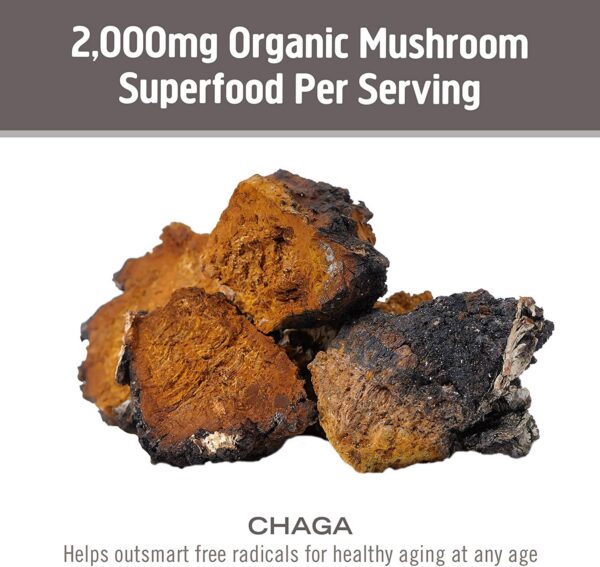Envase de cápsulas OM Chaga alimentos funcionales