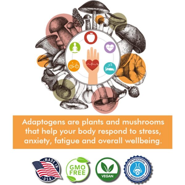 Version 1.0.0 Envase de complejo de hongos para energía y vitalidad