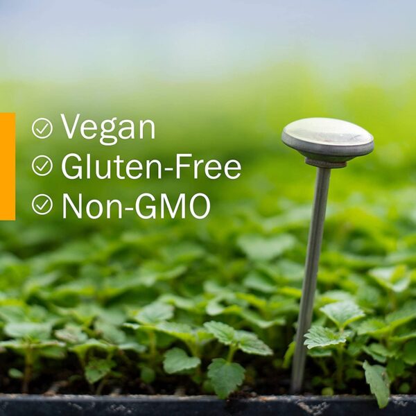 Extracto-de-raiz-de-angelica-organica-Herb-Pharm