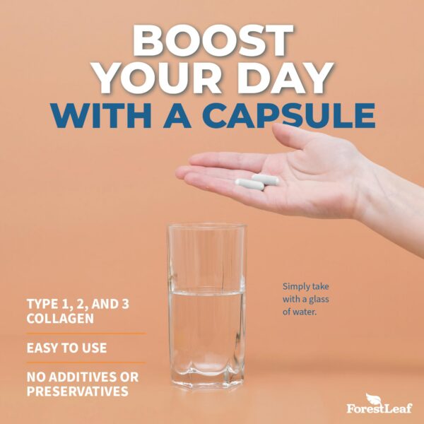 Version 1.0.0 Envase ForestLeaf en fondo blanco