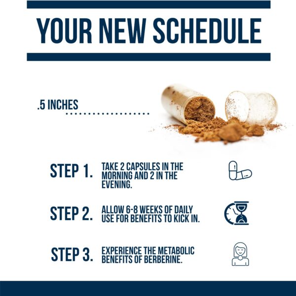 Envase frontal Dr Westin Childs Berberina 500+ dihidroberberina