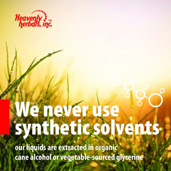 Caja suplementaria Gotas de Bacopa para memoria y concentración