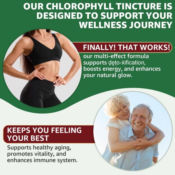 Version 1.0.0 Envase gotas líquidas clorofila para detox y energía