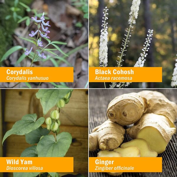 Envase Herb Pharm Cramp Care extracto líquido herbal