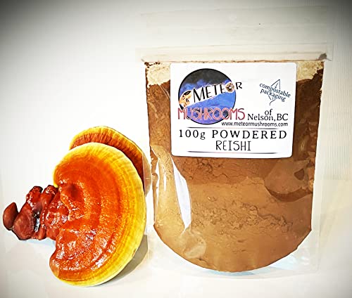 Envase de hongos Reishi en polvo