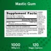 Envase al frente de suplemento Mastic Gum Jarrow Formulas