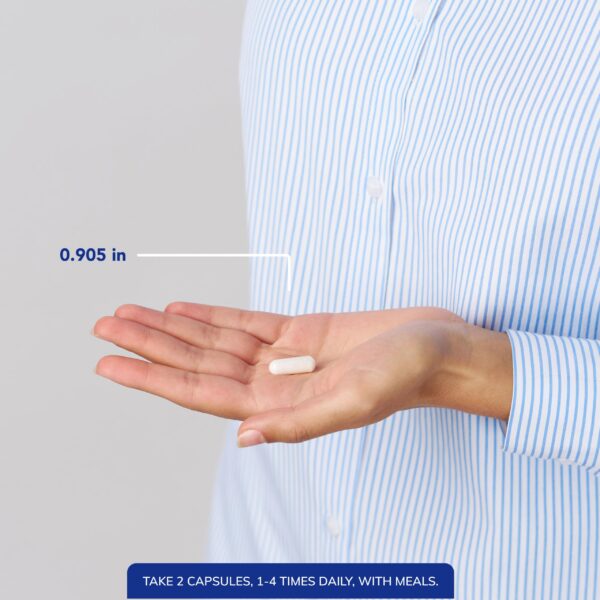 Version 1.0.0 Frente del envase MSM