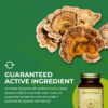 Envase MycoForce HealthForce SuperFoods suplementos orgánicos