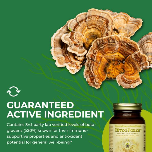 Envase MycoForce HealthForce SuperFoods suplementos orgánicos