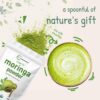 Envase polvo de hoja moringa oleifera orgánico saludable