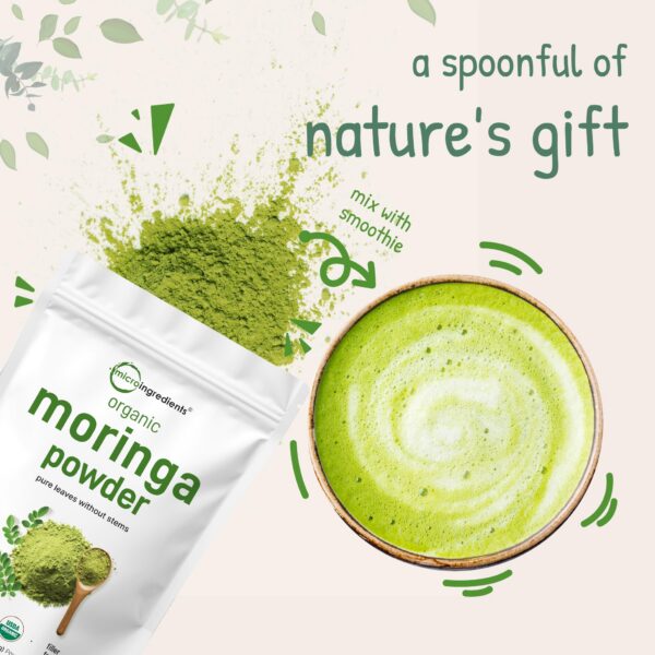 Envase polvo de hoja moringa oleifera orgánico saludable