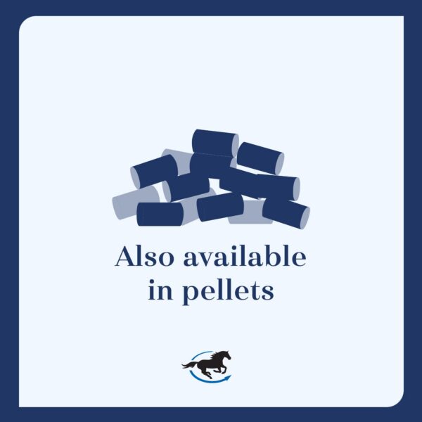 Envase de polvo de zinc para caballos SmartEquine