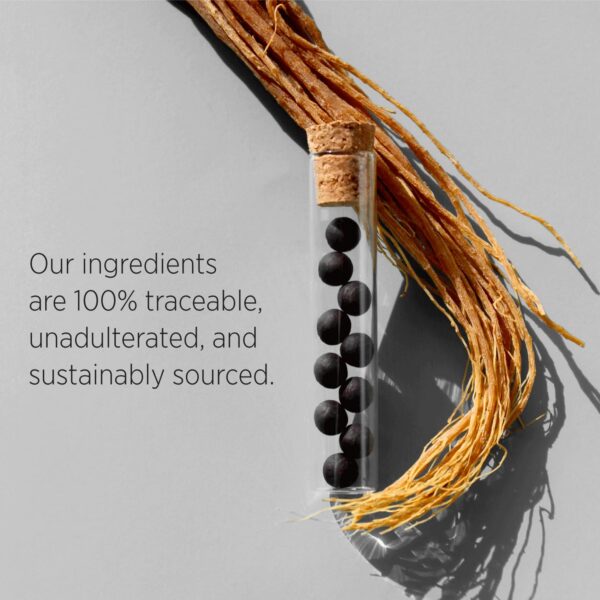 Envase Qi ALCHEMY perlas ginseng rojo coreano premium