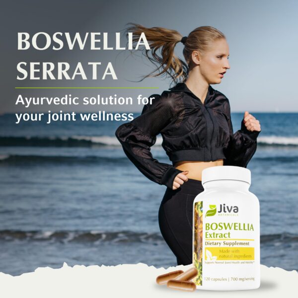 Version 1.0.0 Envase suplementario boswellia con etiquetas informativas