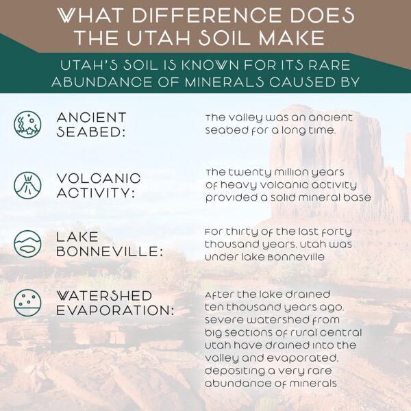 Envase Teaveli polvo orgánico jugo de pasto de cebada