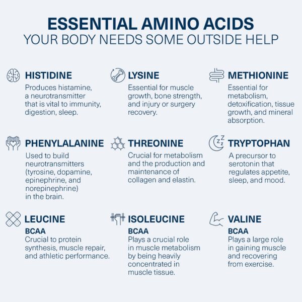 Envase de The Amino CO Purity