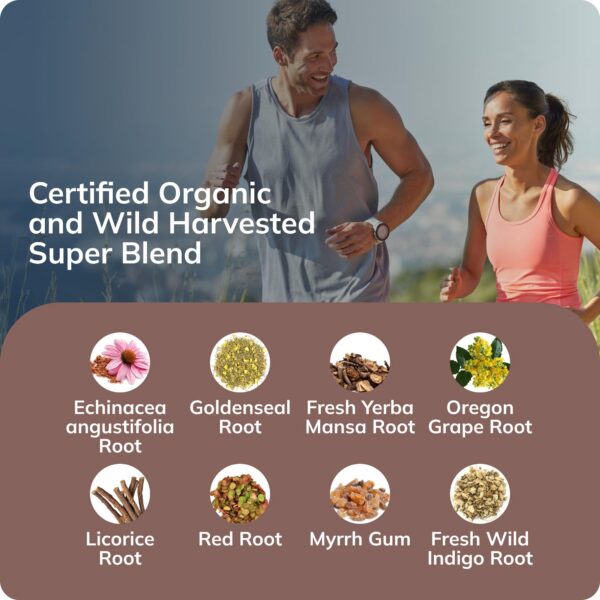 Envase tintura líquida sin alcohol Grama Wellness Echinacea