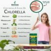 Envase trasero tabletas chlorella BioGenesis