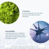 Envase vegano de Youtheory