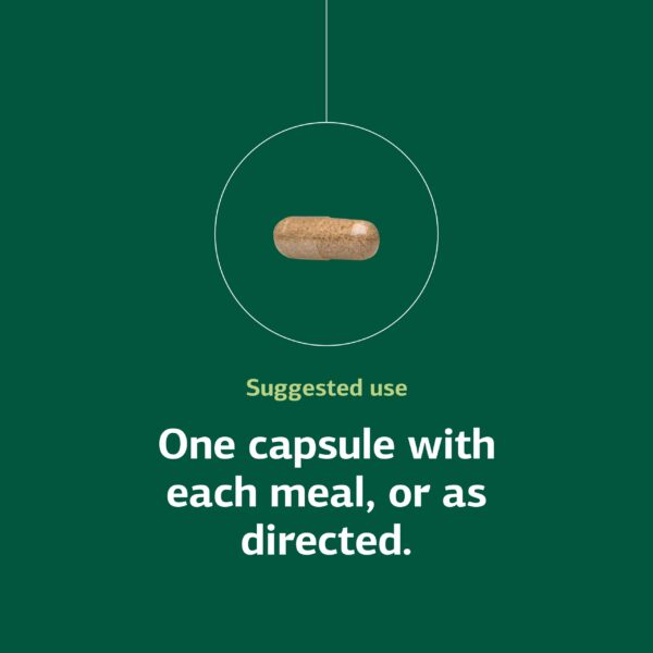 Enzimas para la digestión de macronutrientes