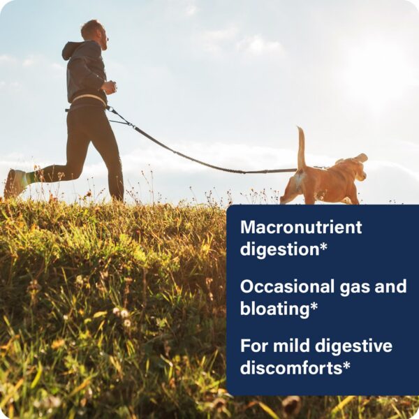 Version 1.0.0 Frasco con etiqueta en azules