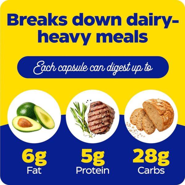 Ingredientes de Enzymedica Lacto