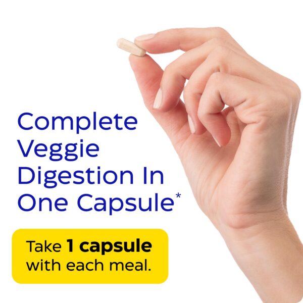 Lista de ingredientes VeggieGest