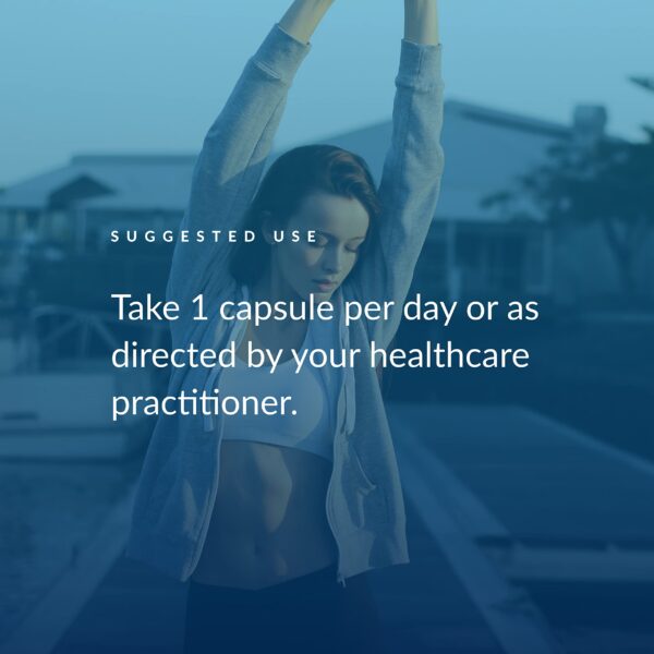 Version 1.0.0 Frasco en estante