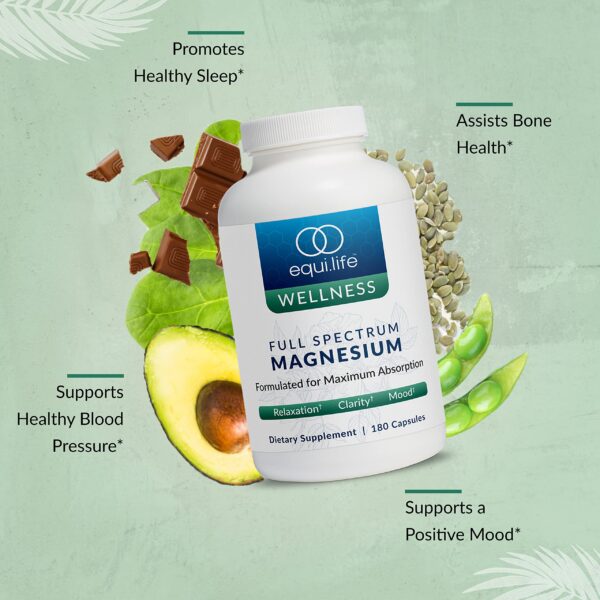 Instrucciones de uso Equilife