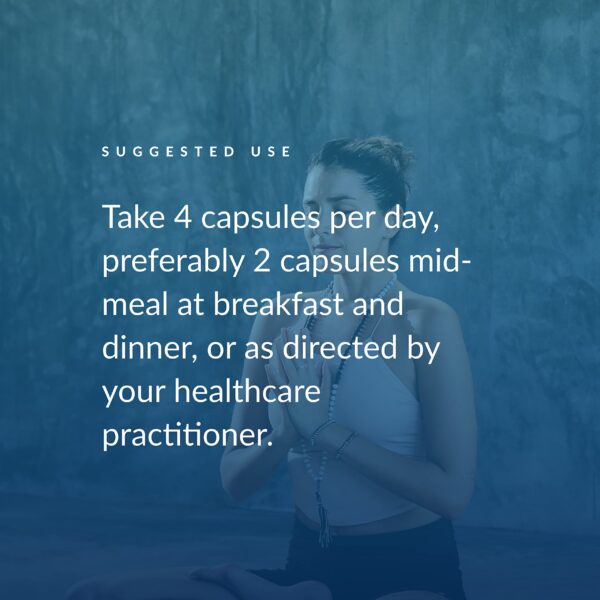 Version 1.0.0 Vista superior del frasco Equilife multivitamínico