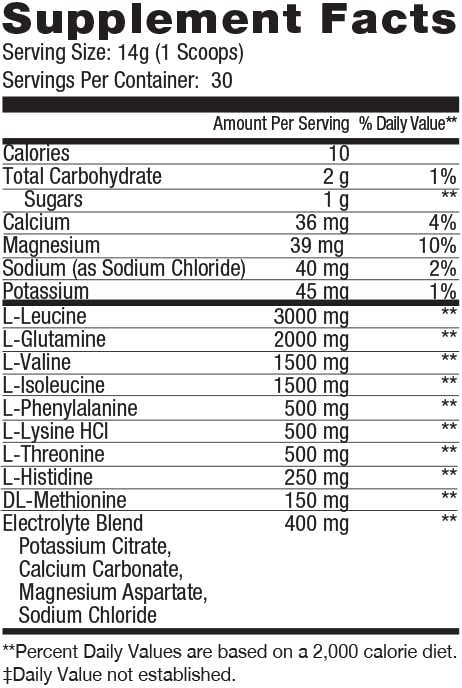 Version 1.0.0 Caja exterior de ES FIT Polvo de aminoácidos