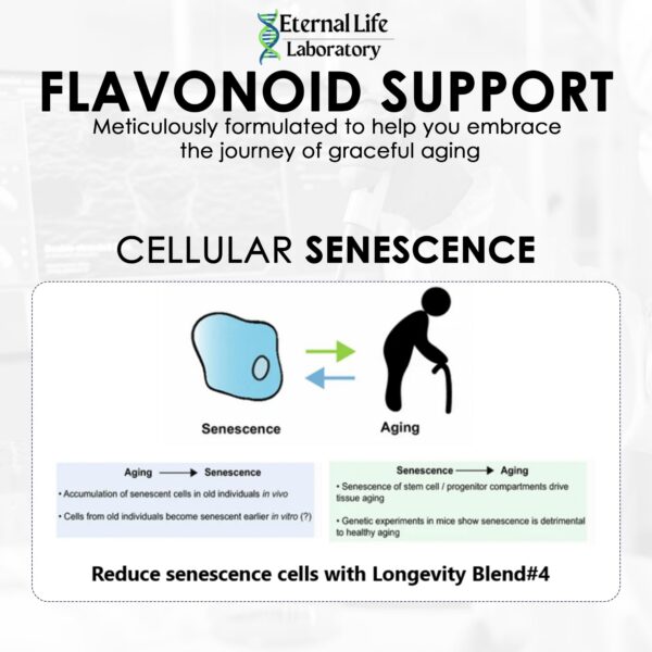 Sello GMP en etiqueta