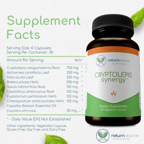 Version 1.0.0 Etiqueta detallada del producto