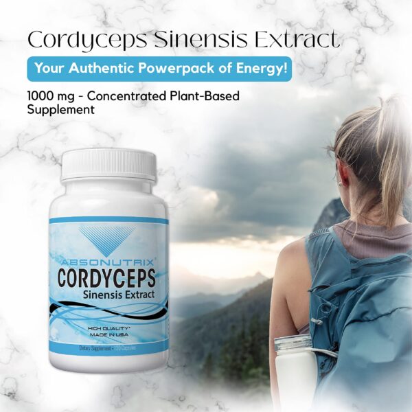Etiqueta de Extracto de Cordyceps Sinensis Absonutrix