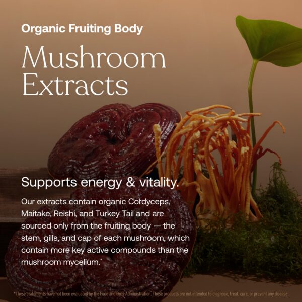 Etiqueta frasco True Grace multivitamínico para hombres